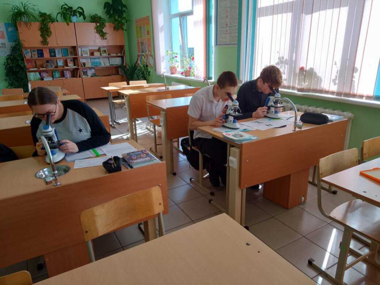 Урок биологии.